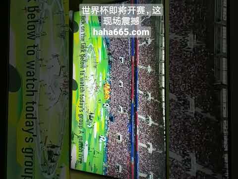 国足连败风,险高,目标调整聚,广州赛马会,广州赛马,赛马俱乐部,赛马资讯