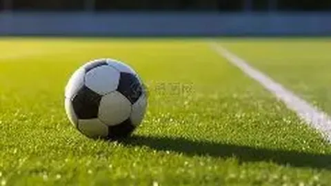 两岸欢歌共庆新春，海峡并肩迎冰雪岁寒